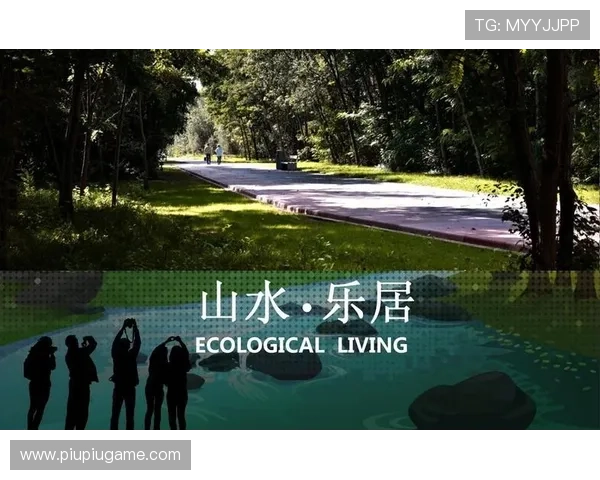 广州极限运动队的蜕变之旅：从传统到创新的全新探索与挑战