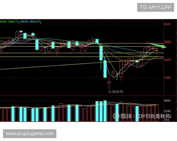 广州羽毛球队与西安羽毛球队赛后复盘分析比赛节奏与战术对比